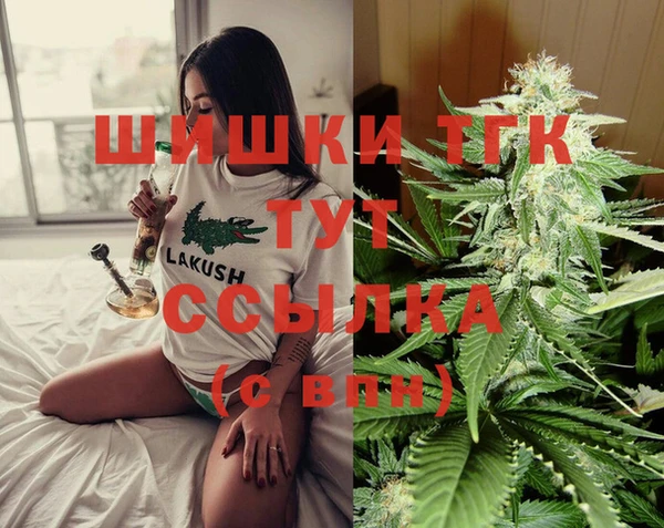 эйфоретик Баксан