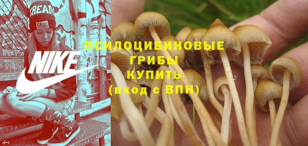 эйфоретик Баксан
