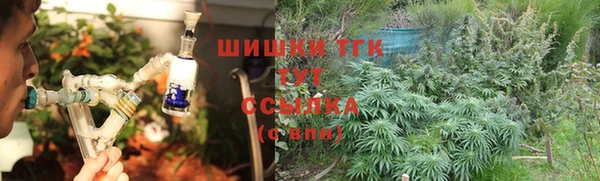 эйфоретик Баксан