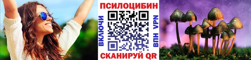 hydra ссылка  Яблоновский  Псилоцибиновые грибы Psilocybe 